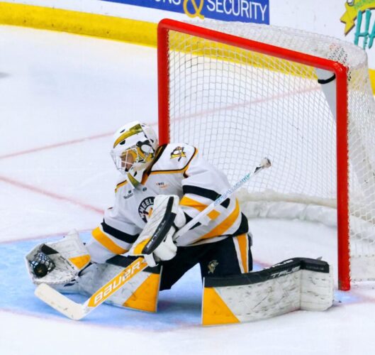 Longtime Penguins-Nailers affiliation suddenly in limbo after new ownership comments
